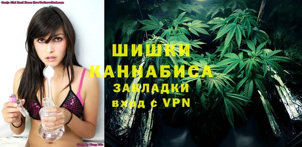 стаф Зерноград