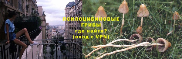 стаф Зерноград