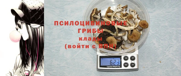 дживик Инсар